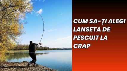 Cum să alegi lanseta de crap pentru tine