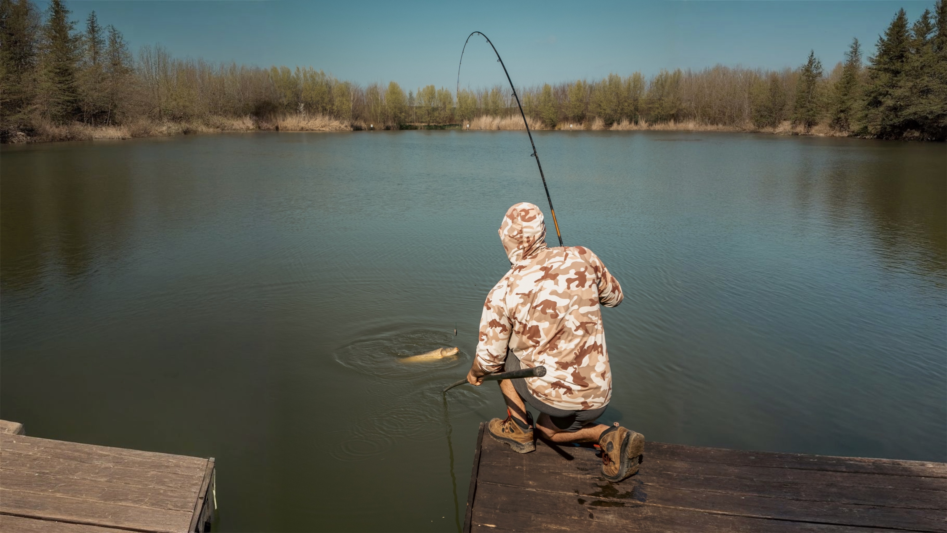 Cum alegi corect vârfurile pentru o lansetă feeder