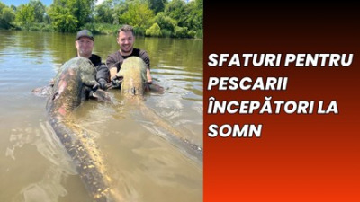 Sfaturi și trucuri pentru pescarii începători de somn