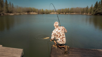 Cum alegi corect vârfurile pentru o lansetă feeder