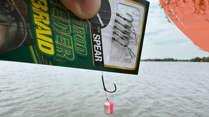 pescuit method feeder rig Owner 1