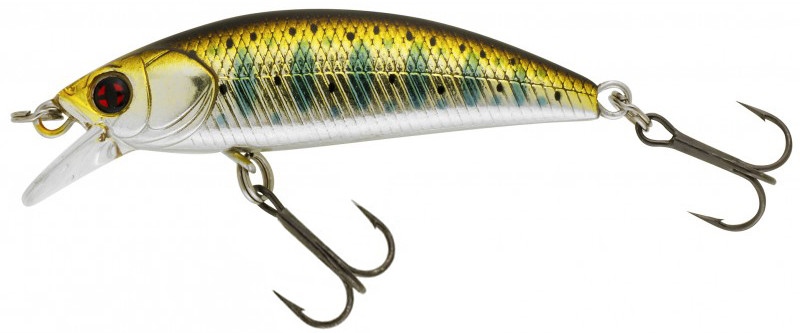 Minnow