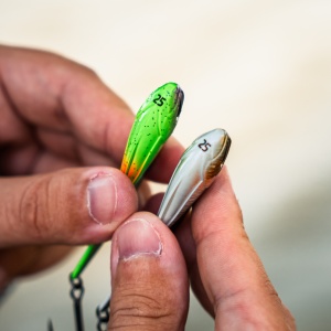 Cicada Zeck Blade Shaker Holo Perch - Img 3