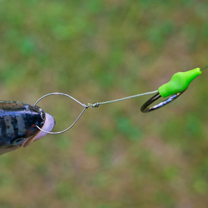 Clips Momeala Zeck 22mm Baitfish Clip Hair Rig