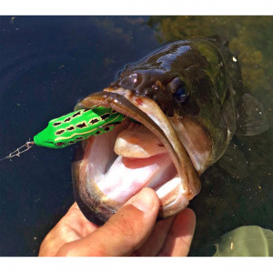 Broasca Sakura Bubble Frog 70F 70mm 19.5gr NF Natural Frog - Img 2