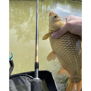 Lanseta Rive Magic Bomb 2+1tr 3.30m 35gr - Img 3