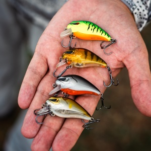 Vobler Zeck Danny 4.5cm 5.5gr Perch - Img 5
