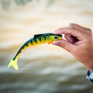 Shad Zeck Rippler Firetiger 2buc/pac - Img 2