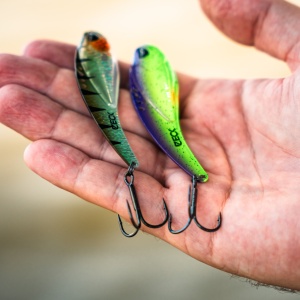 Cicada Zeck Blade Shaker Holo Perch - Img 2