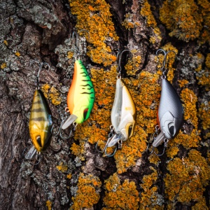 Vobler Zeck Danny 4.5cm 5.5gr Perch - Img 3