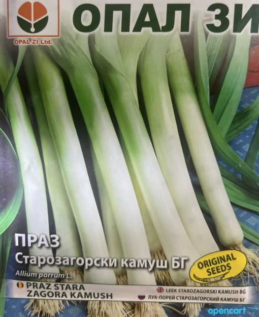 STARA ZAGORA KAMUSH LEEK - Odmiana pora o doskonałych właściwościach - Img 2