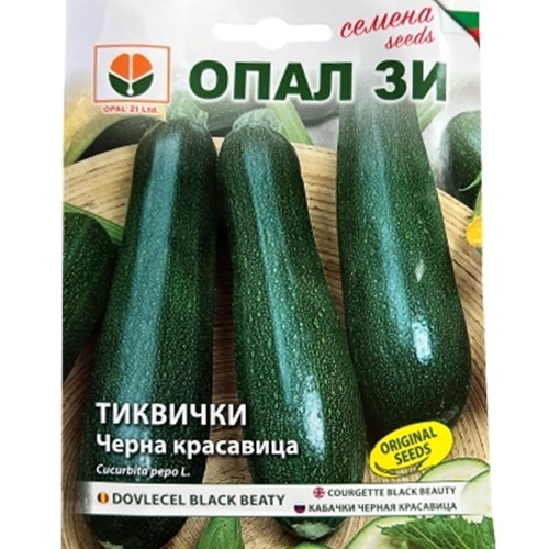 Nasiona dyni BLACK BEATY, odmiana o zwiększonej wydajności - Img 2