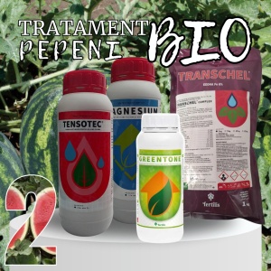 BIOPACK Etap 2 Arbuzy - Rozwój Liści