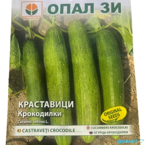 Nasiona ogórka CROCODILE, odmiana o wysokiej wydajności