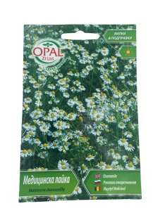Nasiona rumianku leczniczego (Matricaria Chamomilla), rośliny aromatyczne
