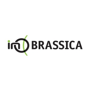 Nawóz INO BRASSICA, dodatkowe źródło azotu i siarki