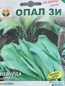 Nasiona LEURDA, przyprawa o delikatnym zapachu czosnku