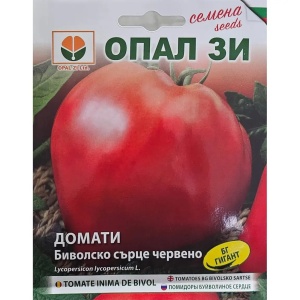Nasiona pomidora Red Buffalo Heart: Intensywny smak, obfite zbiory