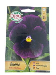 Nasiona Viola x Wittrockiana – ozdobne, kolorowe bratki