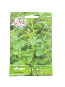 Nasiona mięty - aromatyczna odmiana do ogrodu, OPAL ZI