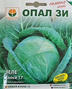 KYOSE 17 nasiona KAPUSTY, odmiana późna produkcyjna