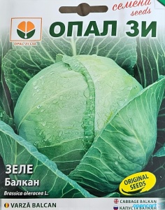 Nasiona KAPUSTY BALCAN, odmiana późna