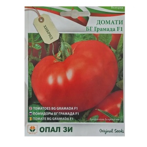 Nasiona pomidora TOMATE BG GRAMADA F1, odmiana półwczesna