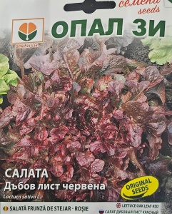 Nasiona DĘBU CZERWONEGO wymagają żyznej gleby