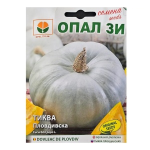 Nasiona DYNI PLOVDIV waga 8-10 kg