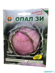 Nasiona KAPUSTY CZERWONEJ PAZARDJSHKO, odmiana późna produkcyjna