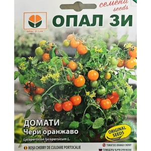 Nasiona pomidora pomarańczowego CHERRY