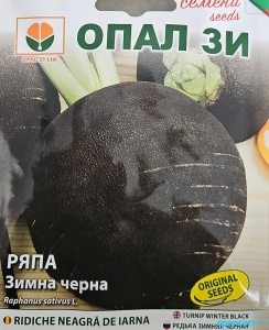 Nasiona rzodkiewki czarnej zimowej, średnica 10-12 cm