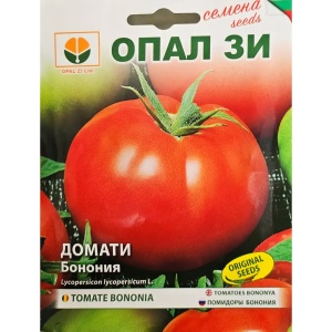 Nasiona pomidora (pomidory) BONONIA, odmiana półwczesna