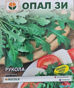 Nasiona ARUCA, roślina do 30 cm wysokości