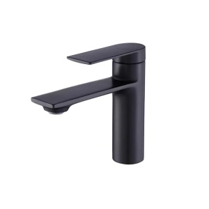 Baterie baie neagra, joasa, Veldman Livia Black - Img 2