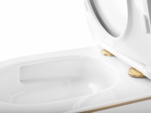 Vas WC suspendat Rea Carlo Mini Tornado NFQ GOLD EDGE - Img 4