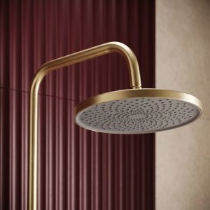 Set dus Rea Avanti Brush Gold - Img 8