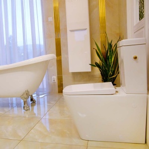 Set vas WC Fluminia, Paris, stativ, BTW, rimless cu rezervor si capac soft-close si easy off inclus - Img 4