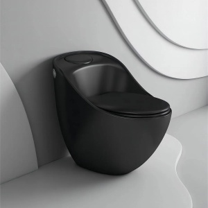 Vas WC New Santa Rimless, 69x46 cm, Rezervor Incorporat, Negru Mat, Power Colour, montaj podea, capac cu soft-close inclus - Img 5