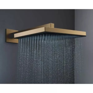 Palarie de dus bronz periat Hansgrohe Pulsify E 260 cu 1 jet - Img 2