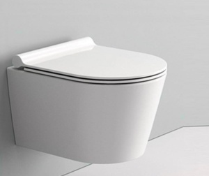 Set Vas WC PRO GEBERIT, Montaj Suspendat, Ceramica Sanitara, Vas WC SONET RIMLESS + Capac Soft-Close SLIM Inclus + Cadru + Clapeta - Img 3