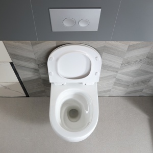 Vas de toaleta suspendat Tornado Lake White, rimless cu capac din duroplast si softclose - Img 8