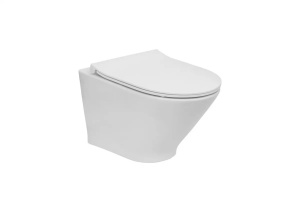 Vas WC suspendat Roca The Gap rimless alb 48 x 35.5 cm