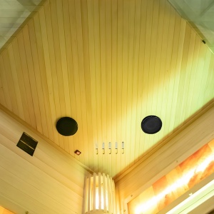 Sauna finlandeza cu temperatura inalta si argaz Harvia 3.5kW, 120 x 120 cm pentru doua persoane - Img 20