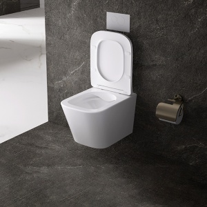 Vas WC suspendat Aqua White 02, rimless cu capac din duroplast si inchidere softclose - Img 5