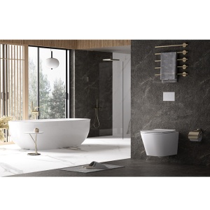 Vas WC suspendat Aqua White 02, rimless cu capac din duroplast si inchidere softclose - Img 2