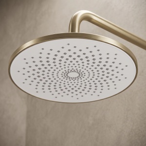 Set dus Rea Foss Clif Brush Gold - Img 7