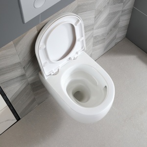 Vas WC suspendat Lake Tornado White Glossy, rimless cu capac softclose - Img 9