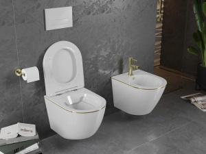 Set vas WC + Bideu Pro White/Gold edge - Img 5