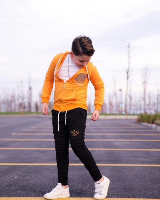 Trening Galben, Lion, 2 Piese, Hanorac si Pantaloni, Pentru Baieti